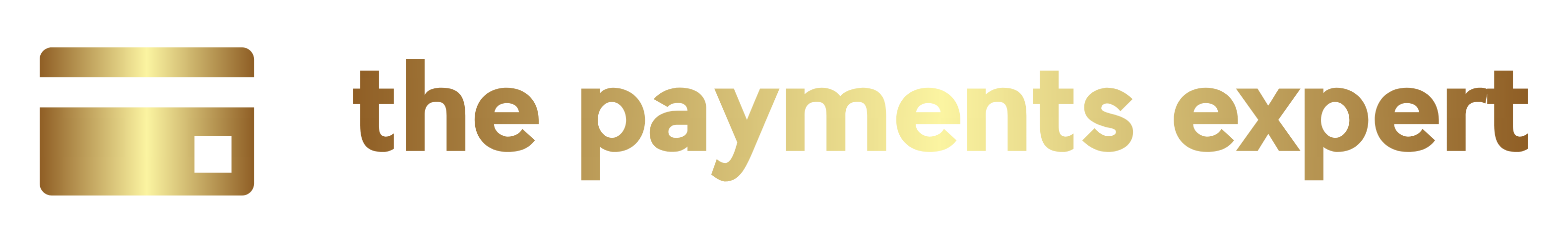 The Payments Expert